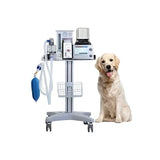 Veterinary Anesthesia Machine-DM6B